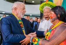 amazzonia lula brasile