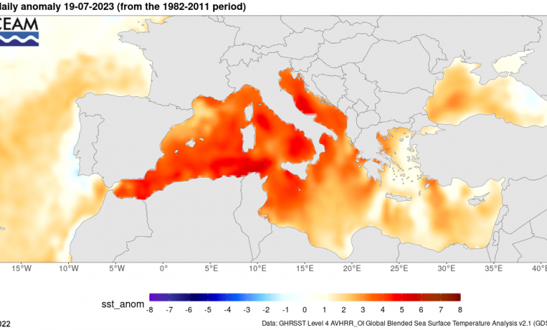 anomalia mare caldo 2023