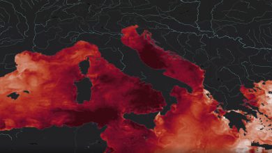 mare-mediterraneo-caldo-record