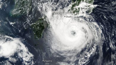 tifone lan