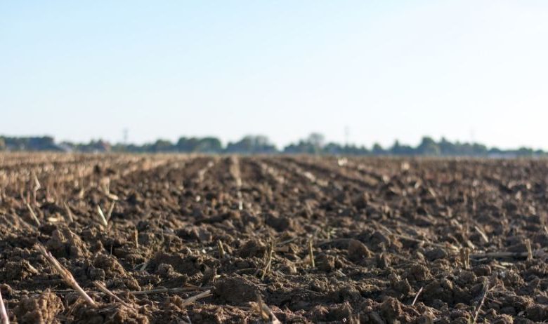 fao agricoltura disastri climatici