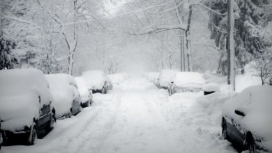 Ucraina neve