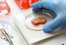 carne coltivata