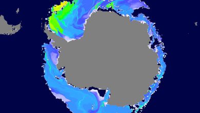 antartide-ghiaccio-dicembre-2023