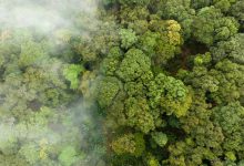 carbonio stati uniti