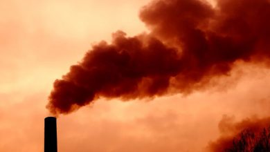 carbonio stati uniti