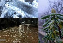 gelicidio ghiaccio nero neve europa