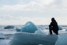 foto orso iceberg