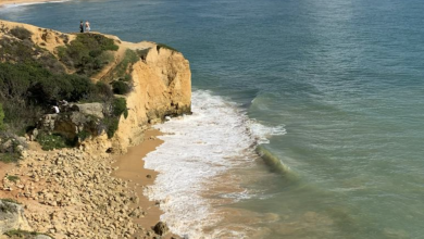 livello mari oceani