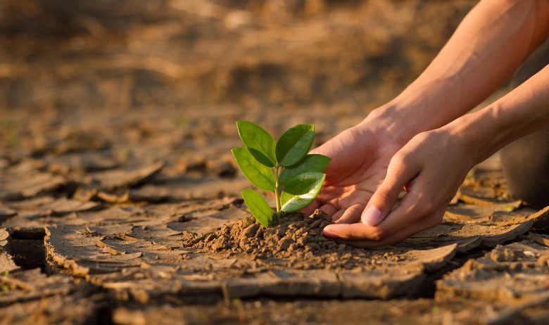 mitigazione adattamento clima