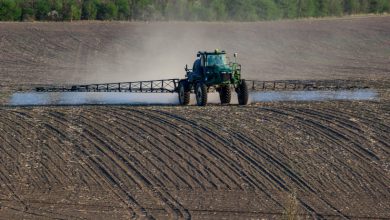 elezioni europee agricoltura pesticidi natura ambiente