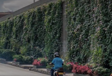 medellin