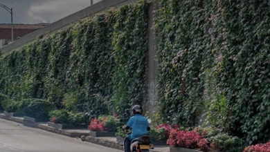 medellin