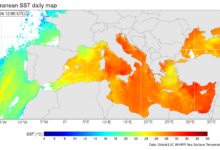 Mediterraneo caldo
