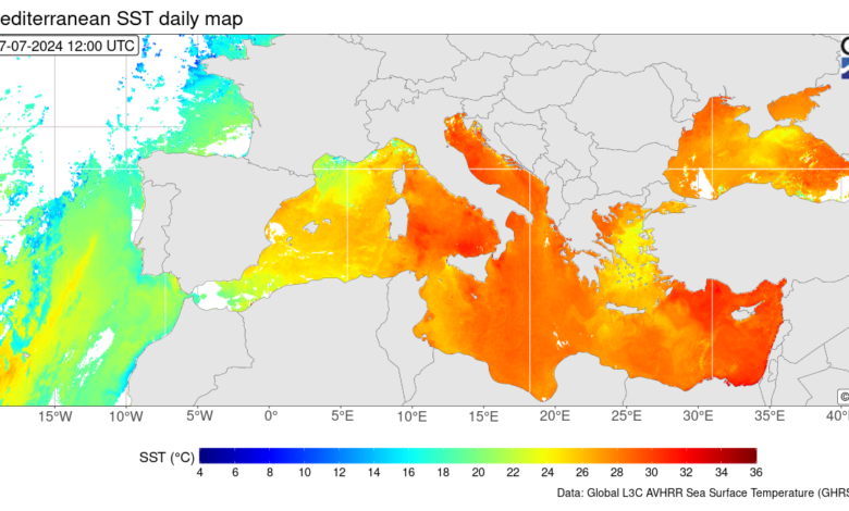 Mediterraneo caldo