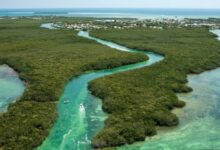 livello mare florida
