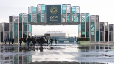 COP29