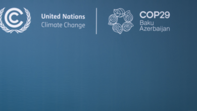 COP29