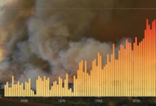 clima 2024