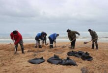 disastro ambientale petrolio mar nero