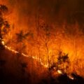 incendi canada