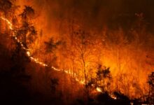 incendi canada