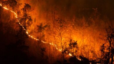 incendi canada