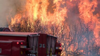 stati uniti incendi
