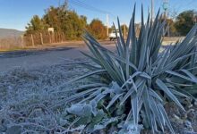 Clima estremo gelo senza precedenti in Sud America