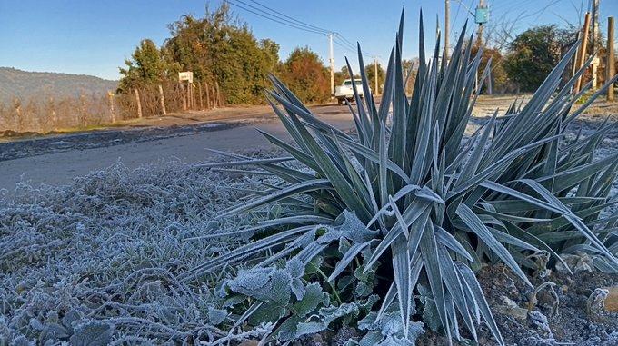 Clima estremo gelo senza precedenti in Sud America