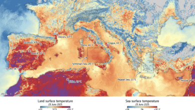 caldo italia