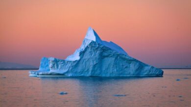 cambiamenti climatici ghiacci antartide