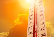 cambiamento climatico europa morti caldo