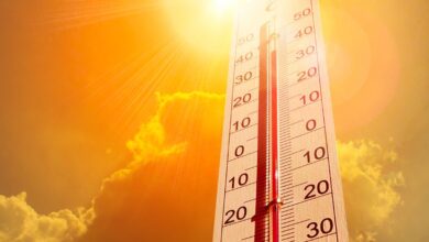 cambiamento climatico europa morti caldo