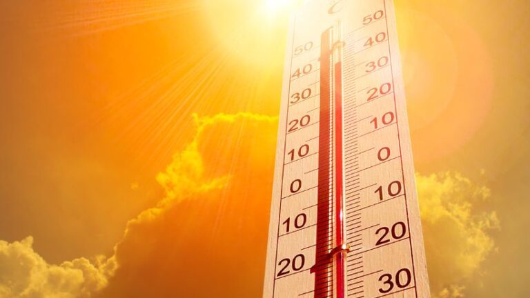 cambiamento climatico europa morti caldo