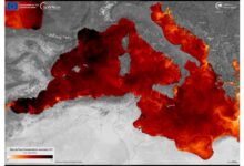 mediterraneo previsioni