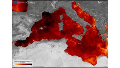 mediterraneo previsioni