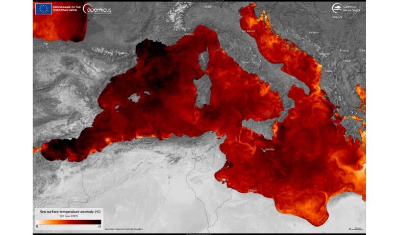 mediterraneo previsioni
