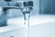 pfas sentenza