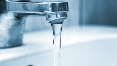 pfas sentenza