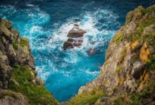 alghe oceani colore clima