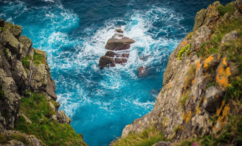 alghe oceani colore clima