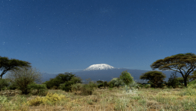 Kilimangiaro