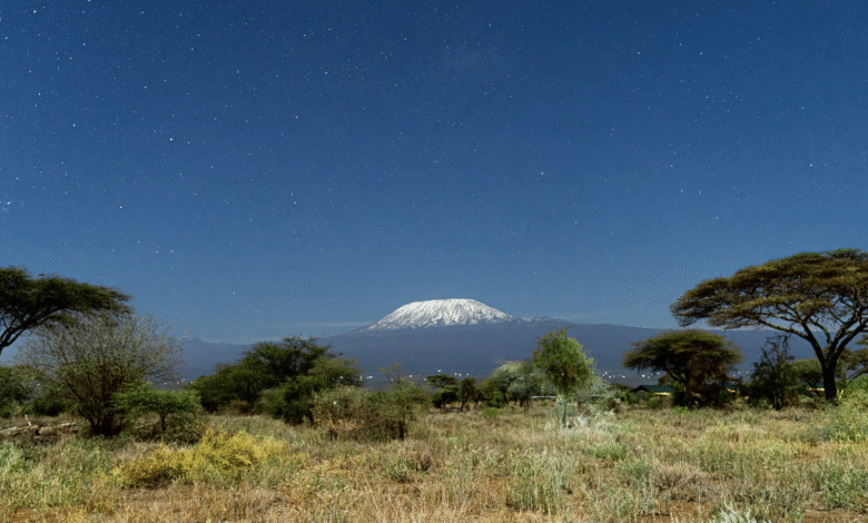 Kilimangiaro