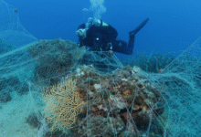 reti fantasma a capo mortola