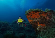 trattato oceani greenpeace agentiera