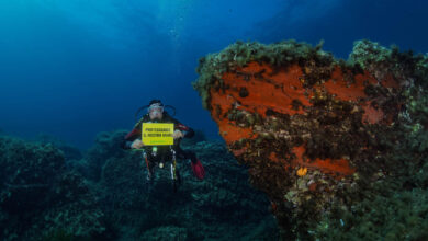 trattato oceani greenpeace agentiera