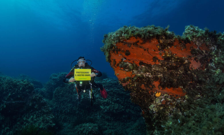trattato oceani greenpeace agentiera