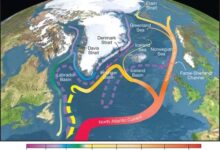 AMOC-Credits-R.-Curry-Woods-Hole-Oceanographic-Institution_Science_USGCRP-Wikipedia-Creative-Commons.