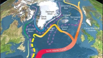 AMOC-Credits-R.-Curry-Woods-Hole-Oceanographic-Institution_Science_USGCRP-Wikipedia-Creative-Commons.